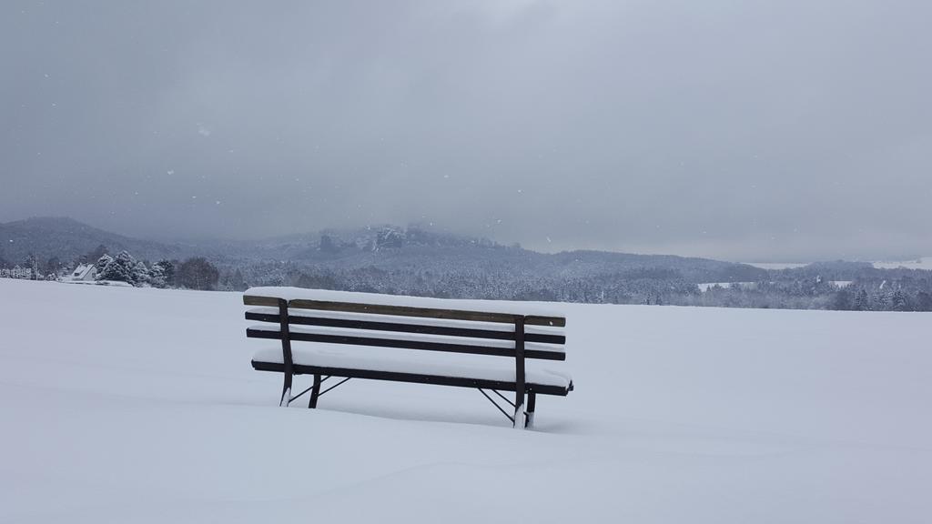 Pension Goldstueck Bad Schandau Exteriér fotografie